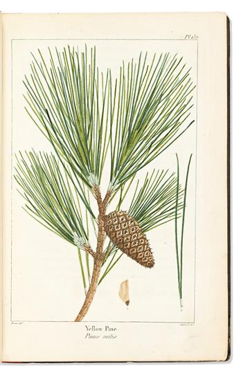 (DENDROLOGY.) Francois Andrew Michaux. A Treatise on the Resinous Trees of North America.